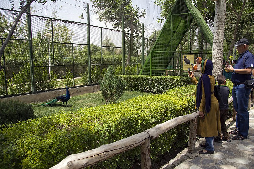 نمایی از باغ پرندگان در اصفهان