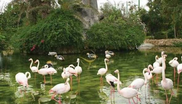 باغ پرندگان اصفهان، مکان تفریحی اصفهان برای کودکان و خانوادهها - در اصفهان کجاست