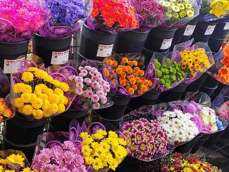 گل سنگ بهترین گل فروشی اصفهان